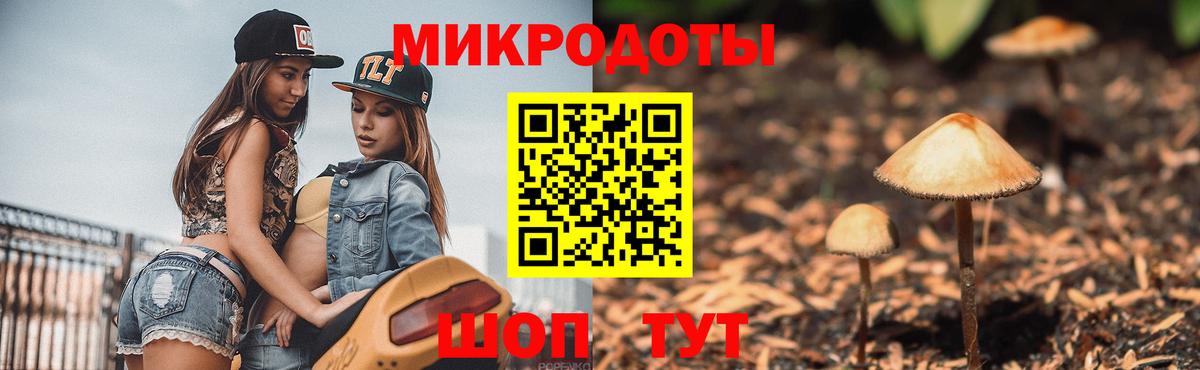 Псилоцибиновые грибы мицелий Лосино-Петровский