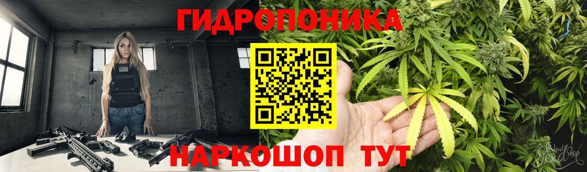 МАРИХУАНА OG Kush  Шишки марихуана LSD WEED  Лосино-Петровский  Вход с VPN  Марихуана семена 